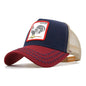 gorra animales bordados